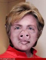 Pig-Hillary-Clinton.jpg