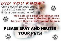 spay and neuter poster.jpg
