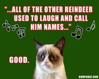 grumpy cat call names.jpg