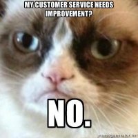 grumpy cat customer service.jpg