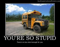 youre-so-stupid-bus-vehicle-best-demotivational-posters.jpg