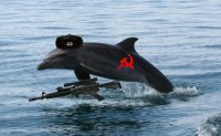 Ukrainian%20Dolphin.jpg