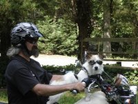 BikerDog1-30.JPG