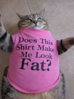 shirt fat.jpg