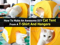 diy-cat-tent-instructables-com-1.jpg