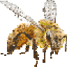 SoMDBeekeeper