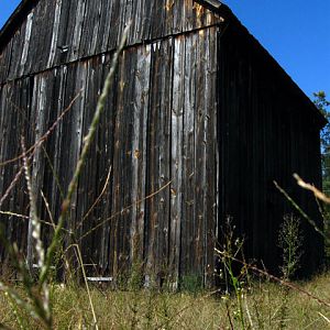# 41 Old barn