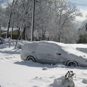 1 Mar 2009 Snow in Town Creek