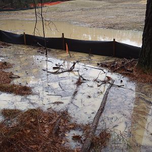Woods at Myrtle Point failed silt fence