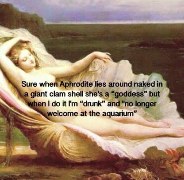 144558