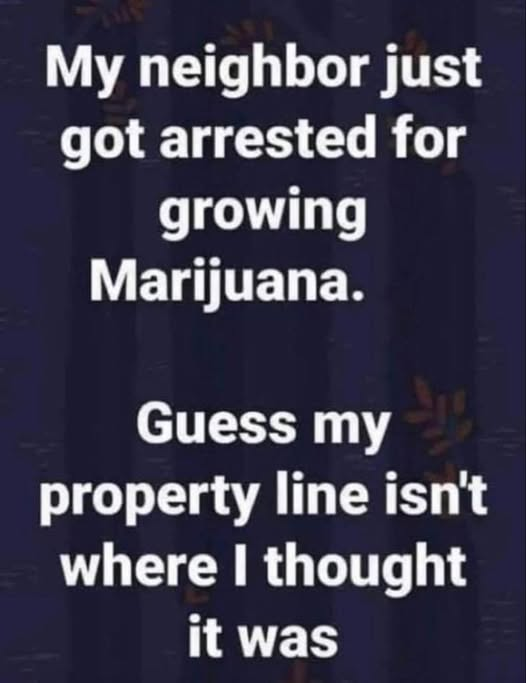 1739329815562.png