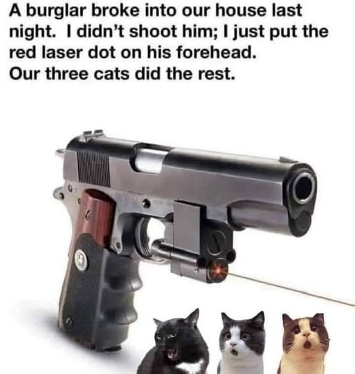 1742506585309.png