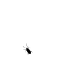 1746374866603.gif