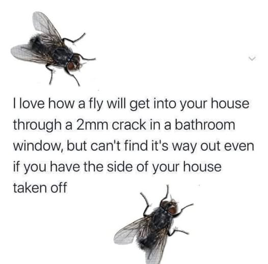 1746381686590.png