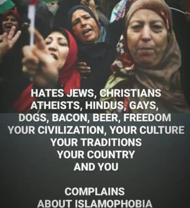 1746732770875.png