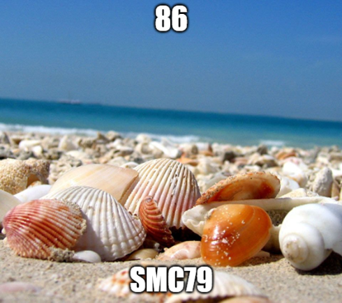 1747863892227.png