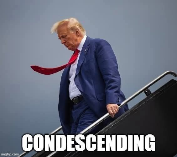 1748482198268.png