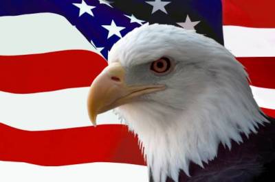 American Eagle over US Flag