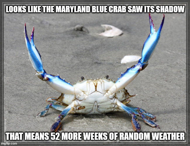 Blue Crab Weather.jpg