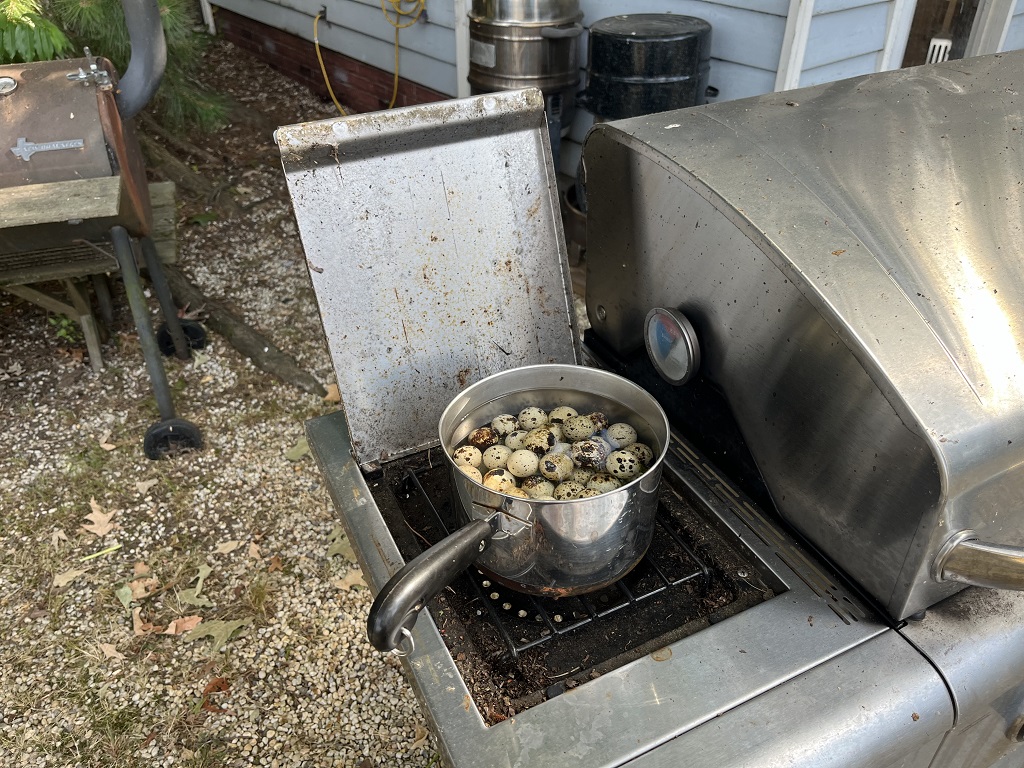 boiling quail eggs.JPG