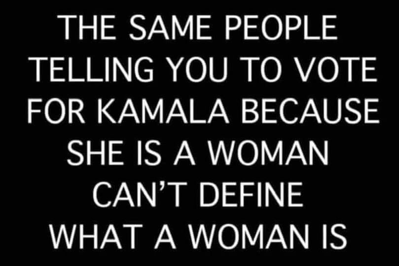 cant define woman but vote for a woman.jpg