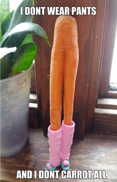carrot-all.jpg