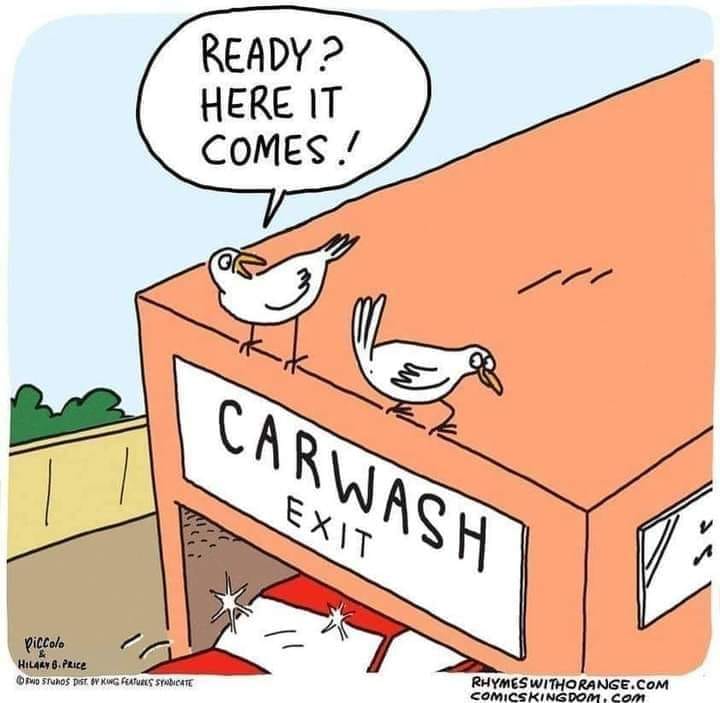 carwash.jpg