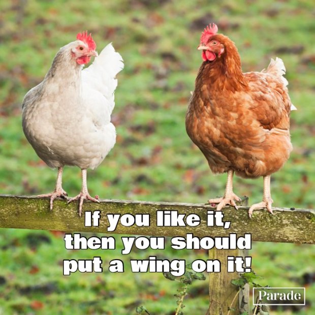 chicken-puns-if-you-like-it-put-wing-on-it.jpg