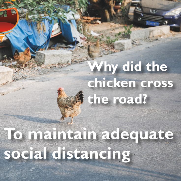 chickensocialdistane2.jpg