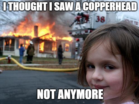 Copperhead.png