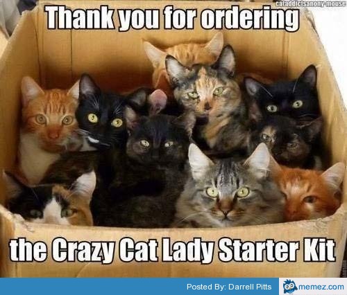 crazy cat lady.jpg