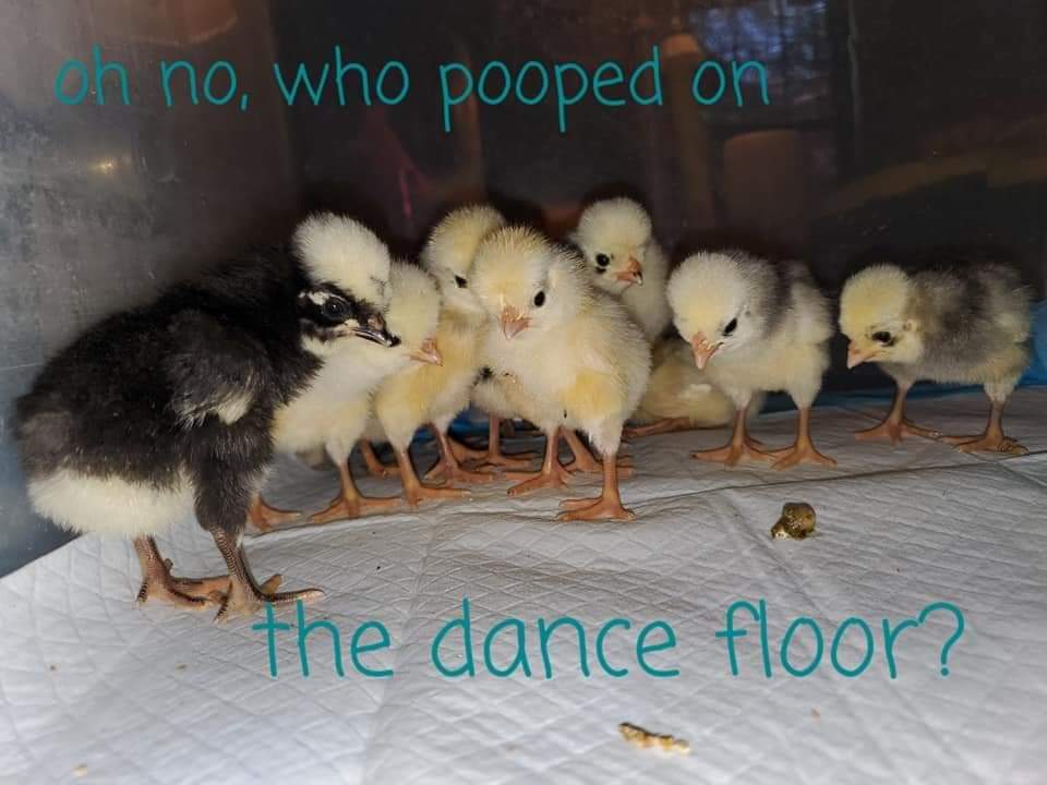 dancefloor.jpg