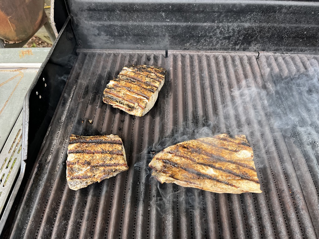 dolphin steaks.jpg