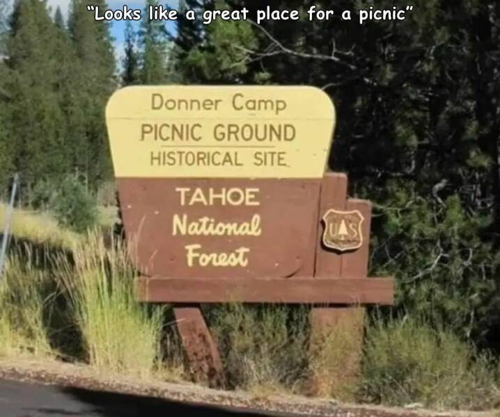 donner-camp.jpg