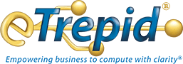 eTrepid, a veteran-owned company