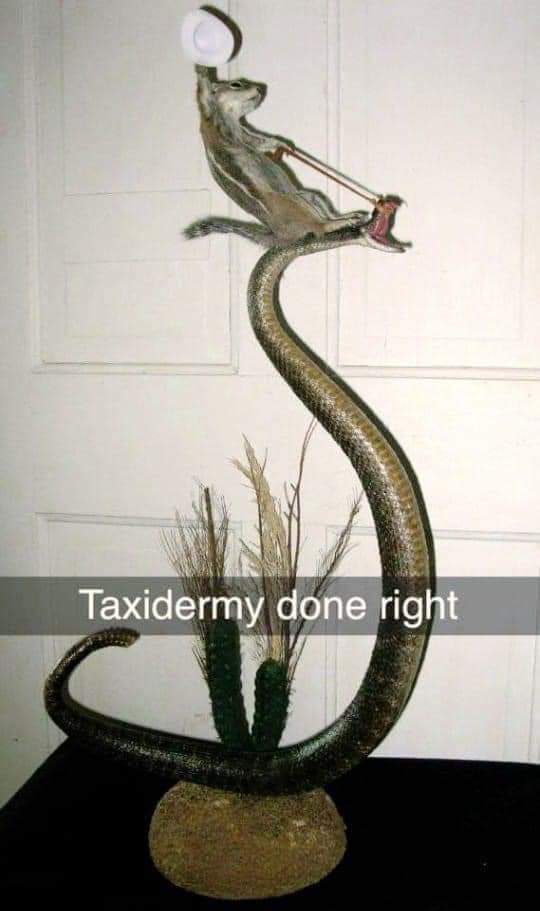 159625