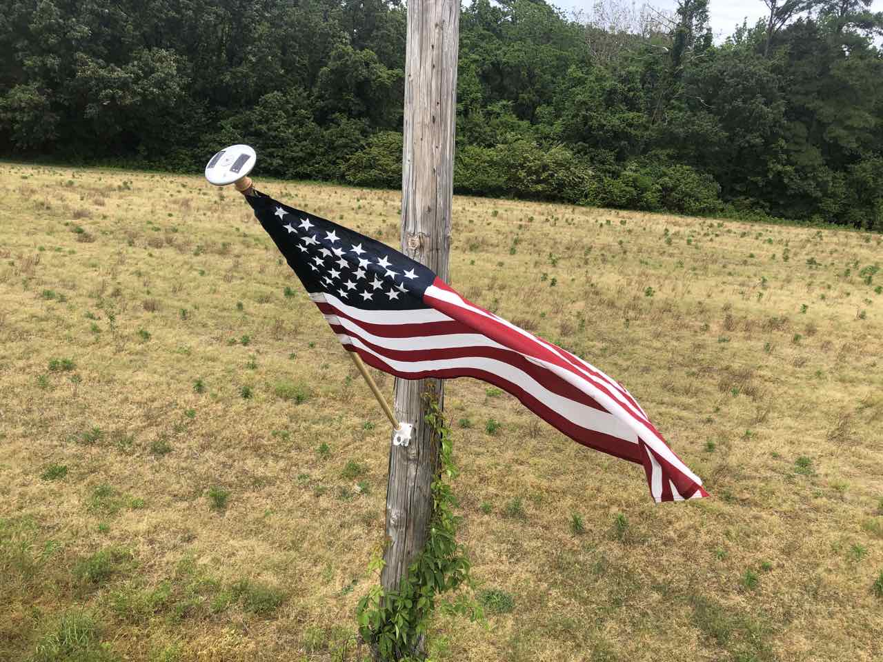 flag.jpg
