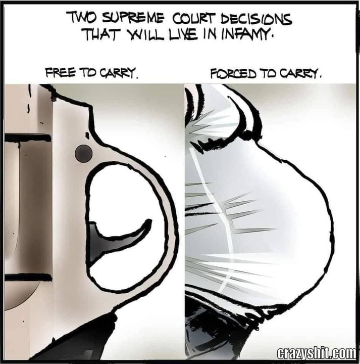 forced to carry.jpg