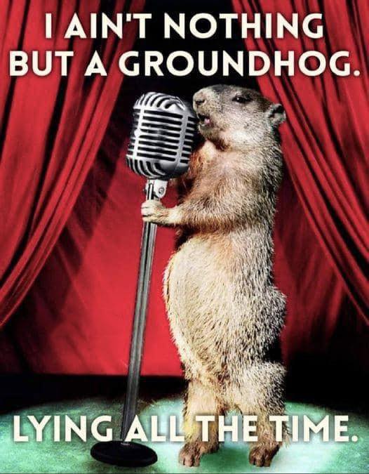 grounhog.jpg