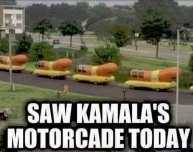 harris motorcade.jpg