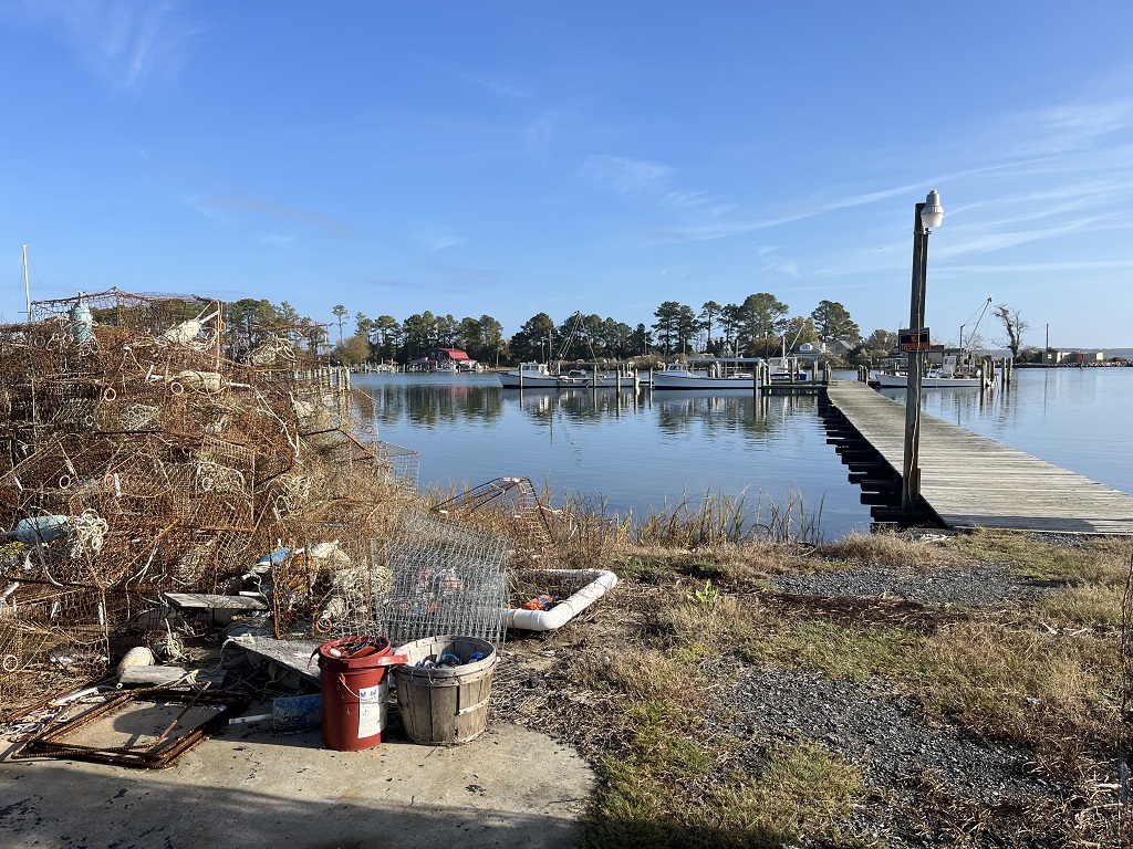 island creek dock.jpg