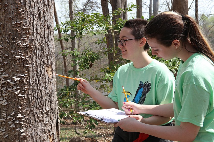 Caitlyn Gaskill, right, a junior at La Plata High School, and senior Kirra Johnson participate in the forestry portion of the Charles County Envirothon.