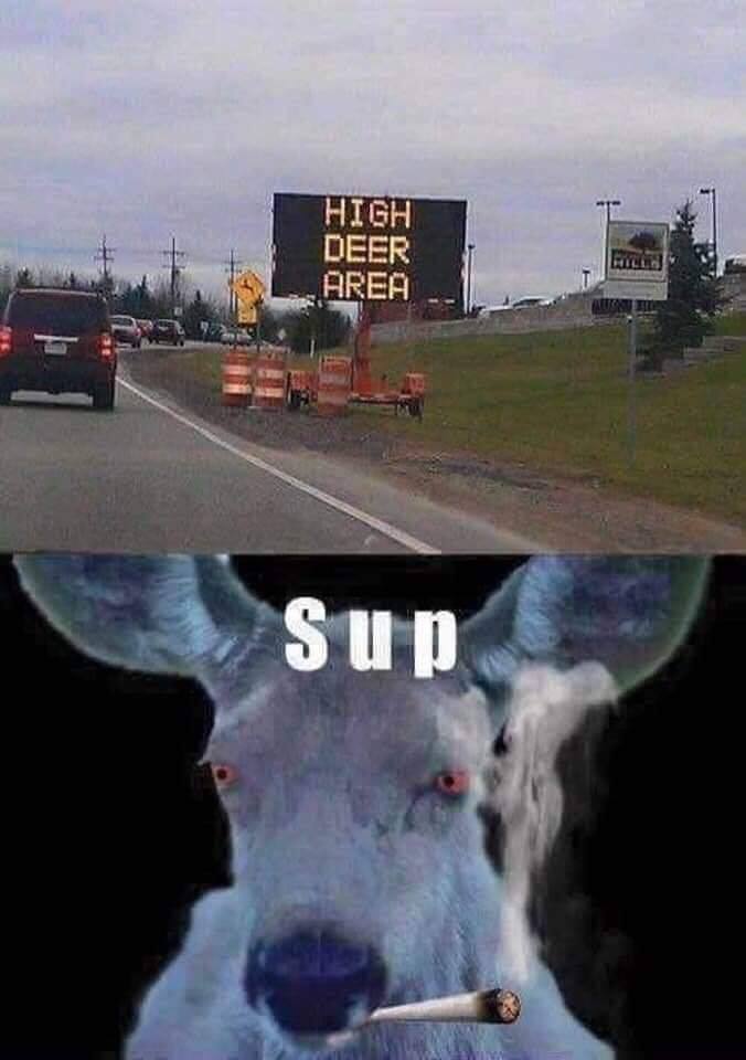 Marijuana deer.jpg