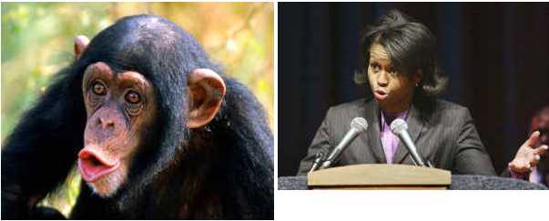 Smirking Chimp fires first salvo. | Page 4 | Southern Maryland