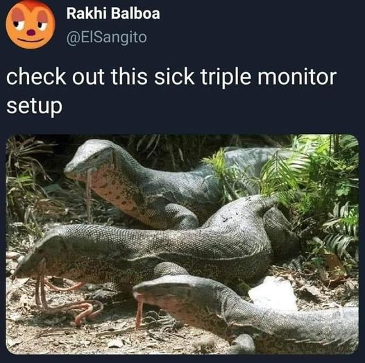 monitors.jpg