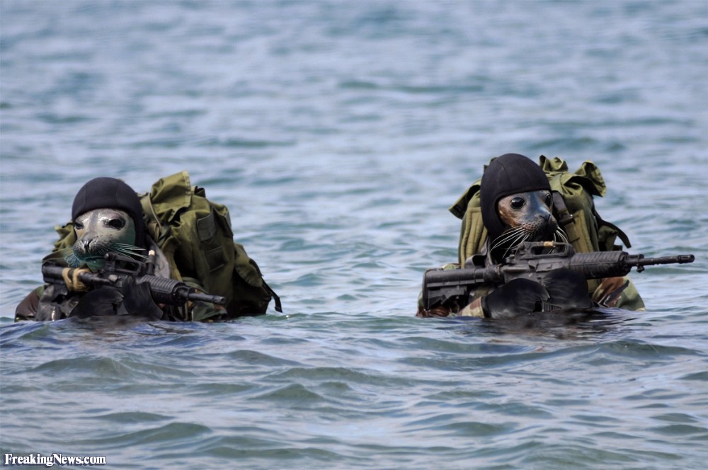 Navy-SEALS-95873[1].jpg