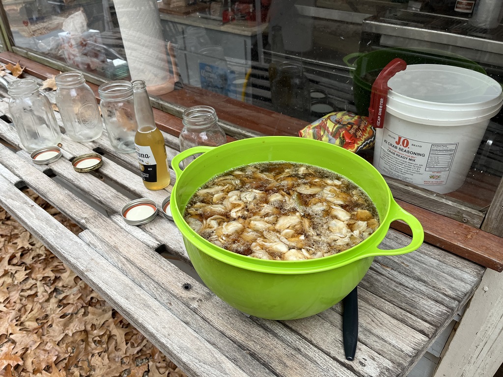 oysters in brine 2023.JPG