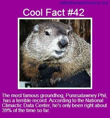 philgroundhog.jpg