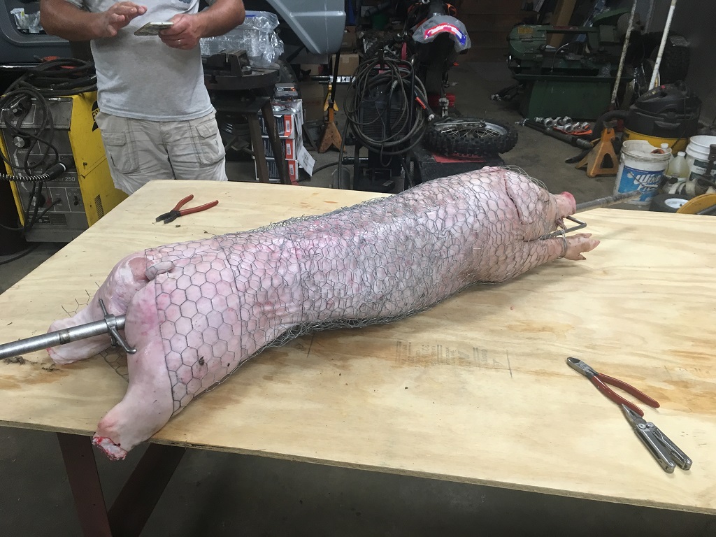 pig ready.JPG