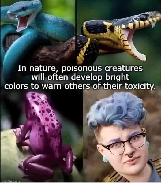 poison.jpg